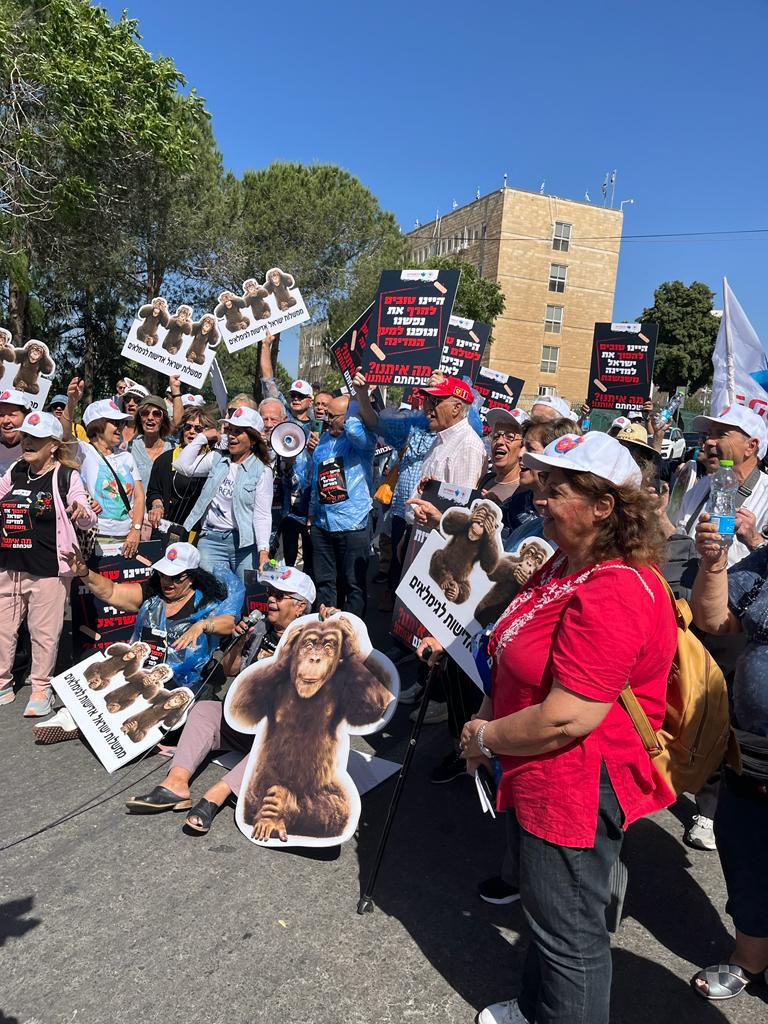 מאות גמלאים הפגינו בדרישה להעלות את קצבאות הזקנה. צילום: צביקה רז